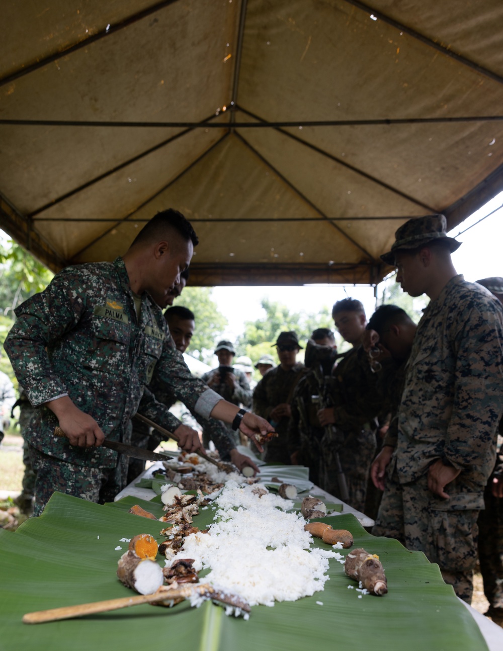 U.S. Marines learn jungle survival skills from Philippine Marines