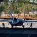 TS23 kicks off at RAAF Tindal