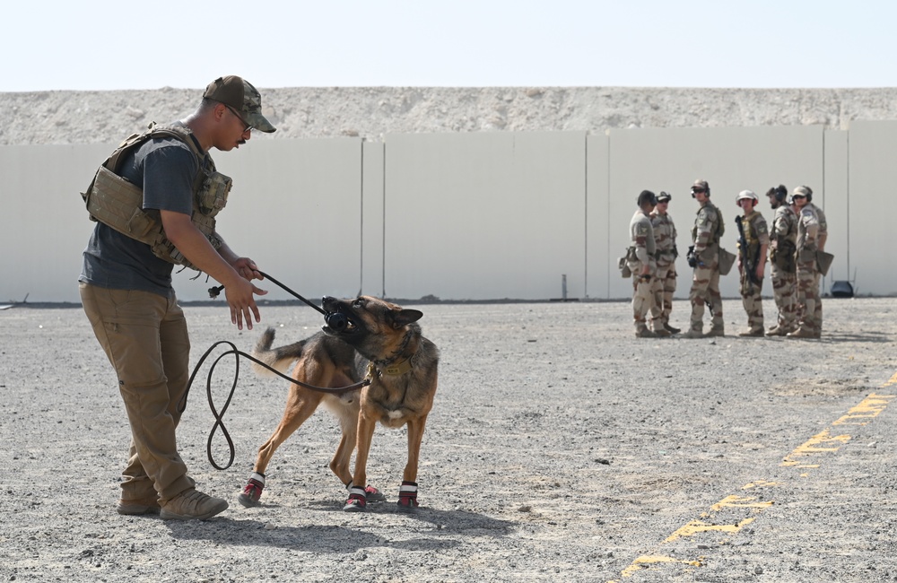 US, French personnel strengthen interoperability