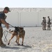 US, French personnel strengthen interoperability