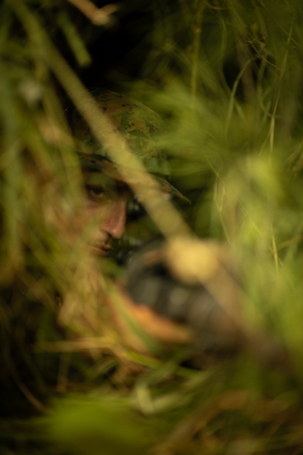 2nd LAAD | Build a hide