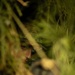 2nd LAAD | Build a hide