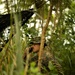 2nd LAAD | Build a hide