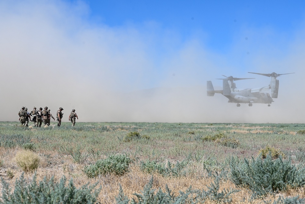 Naval Special Warfare Operators Complete Tactical Ground Movement Training