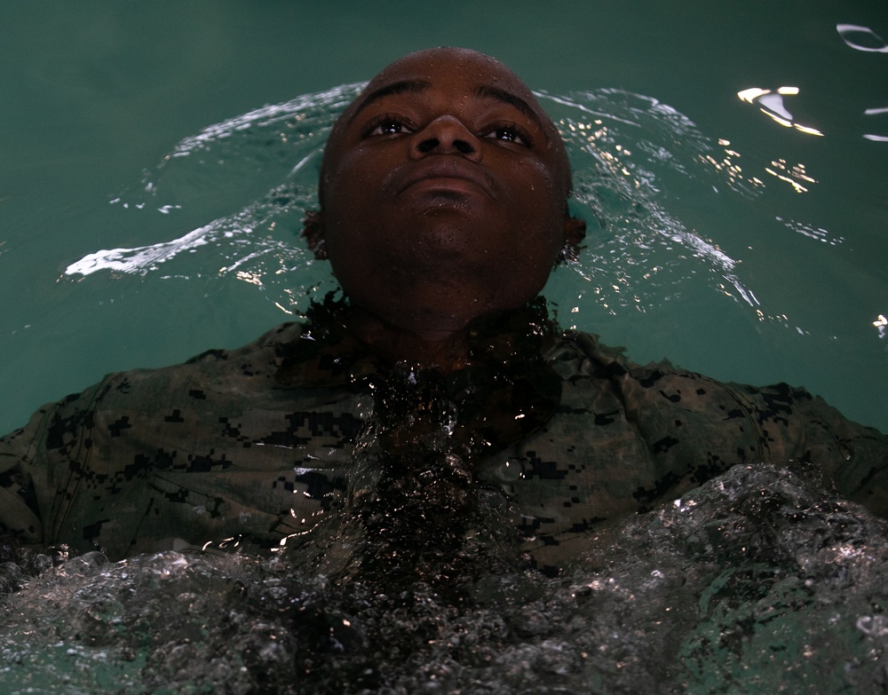 Just Keep Swimming