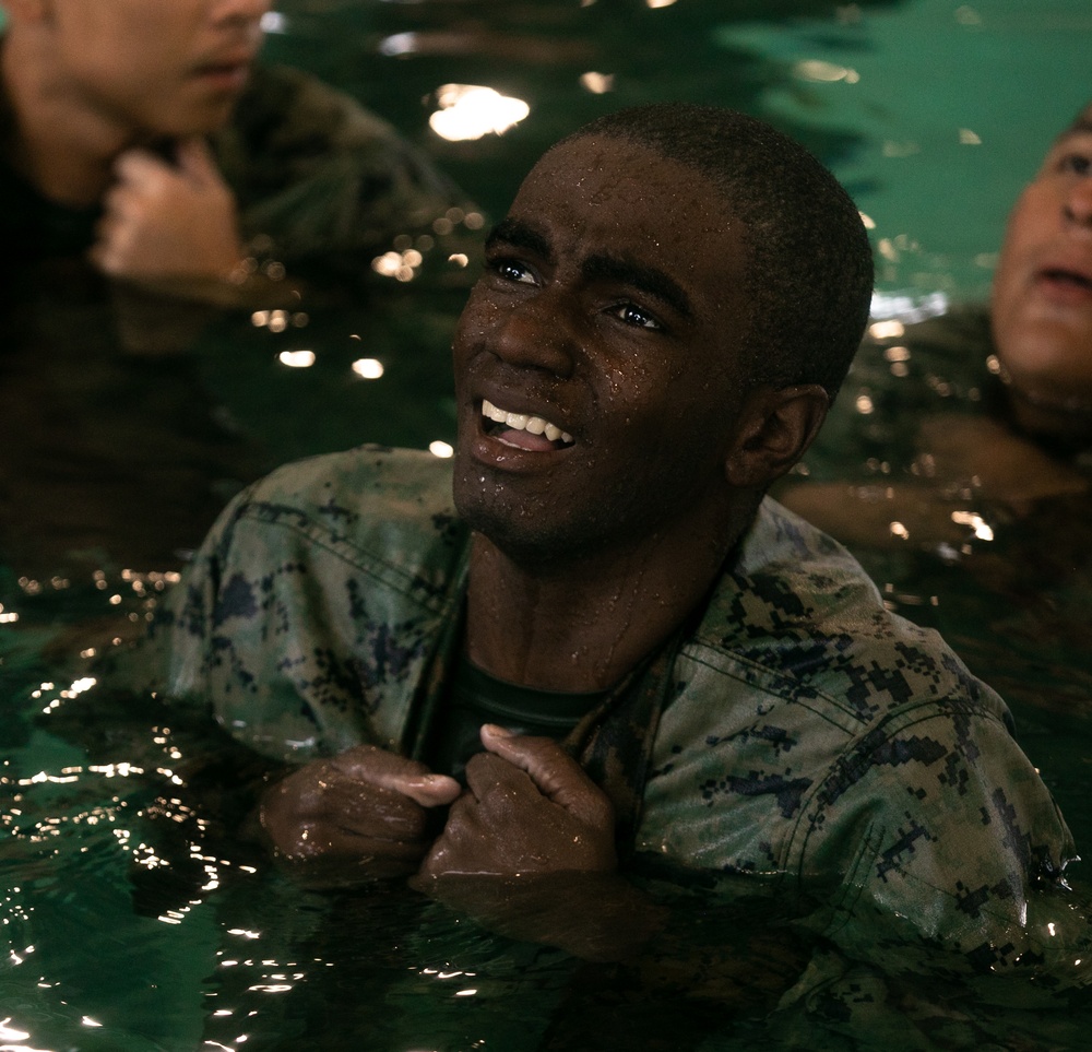 Just Keep Swimming