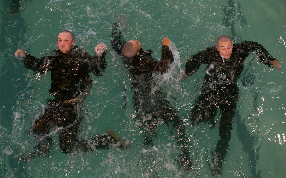 Just Keep Swimming