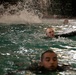Just Keep Swimming