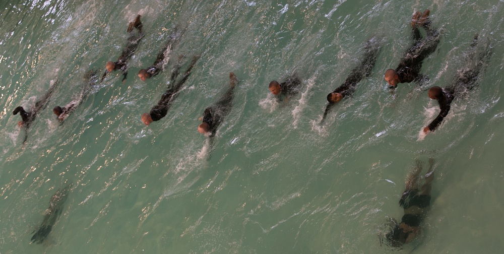 Just Keep Swimming