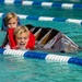 Cardboard Regatta