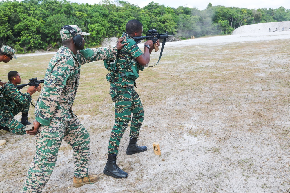 Multinational forces train during a live-fire exercise