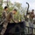 Artillery Coming Ashore: Talisman Sabre 23 Artillery Coming Ashore: Talisman Sabre 23