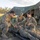 Establishing a Safety Net for Talisman Sabre 23 Establishing a Safety Net for Talisman Sabre 23