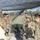 Establishing a Safety Net for Talsiman Sabre 23 Establishing a Safety Net for Talsiman Sabre 23