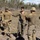 Combined Joint Live Fire Exercise: Talisman Sabre 23 Combined Joint Live Fire Exercise: Talisman Sabre 23