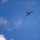 Combined Joint Live Fire Exercise: Talisman Sabre 23 Combined Joint Live Fire Exercise: Talisman Sabre 23