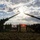Combined Joint Live Fire Exercise: Talisman Sabre 23 Combined Joint Live Fire Exercise: Talisman Sabre 23