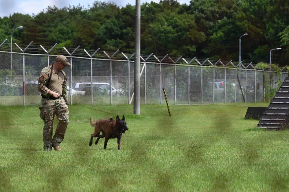 Building Relations: Misawa Friendship Tour July 2023