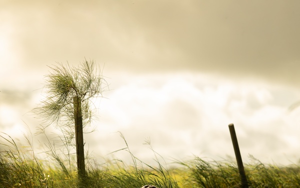 V3/5 | Provides Security