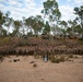 Battle Group Ram marks beginning of Talisman Sabre