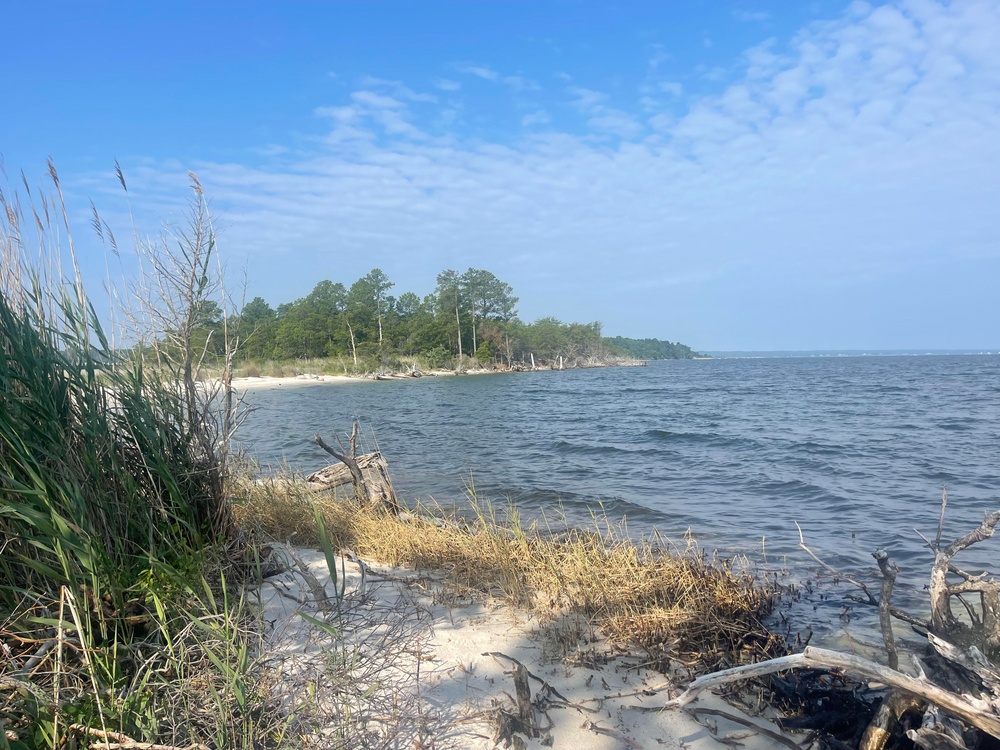 Patuxent River Beach