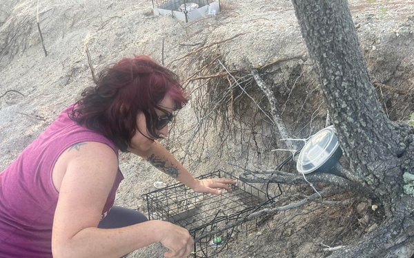 Moving Eggs to Higher Ground