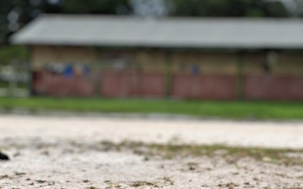 Enemy contact drill demonstration with international troops