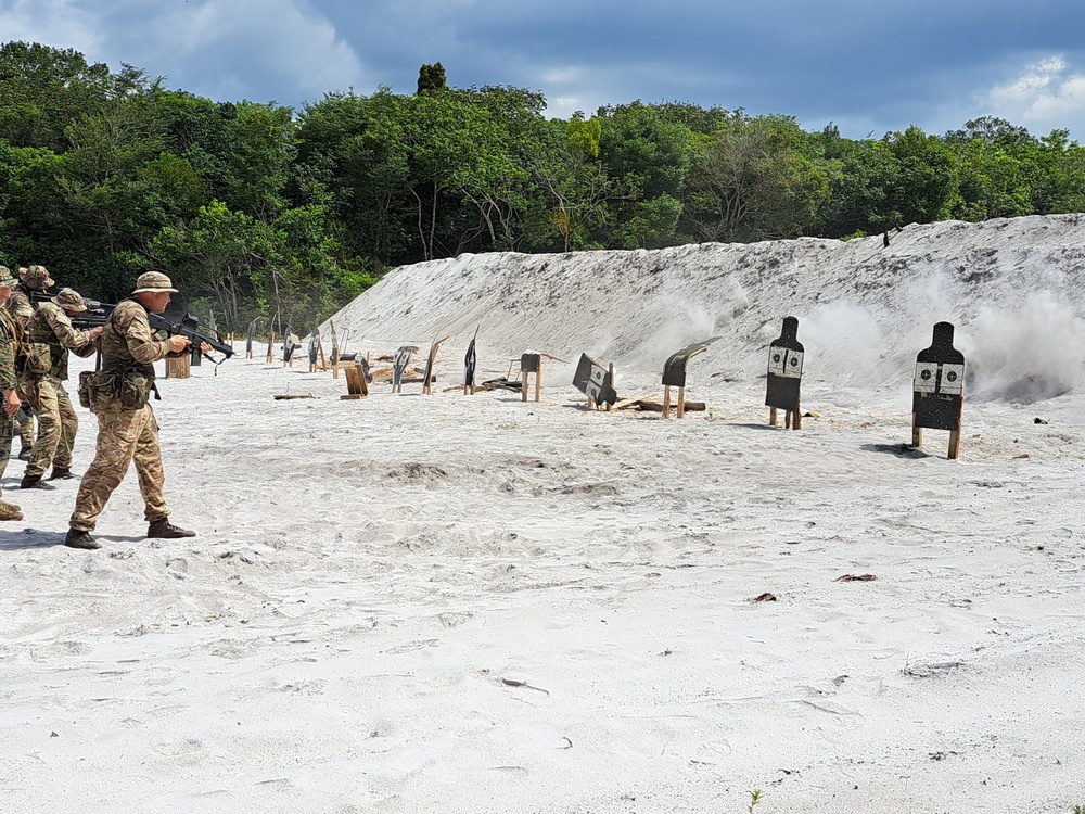 Enemy contact drill demonstration with international troops