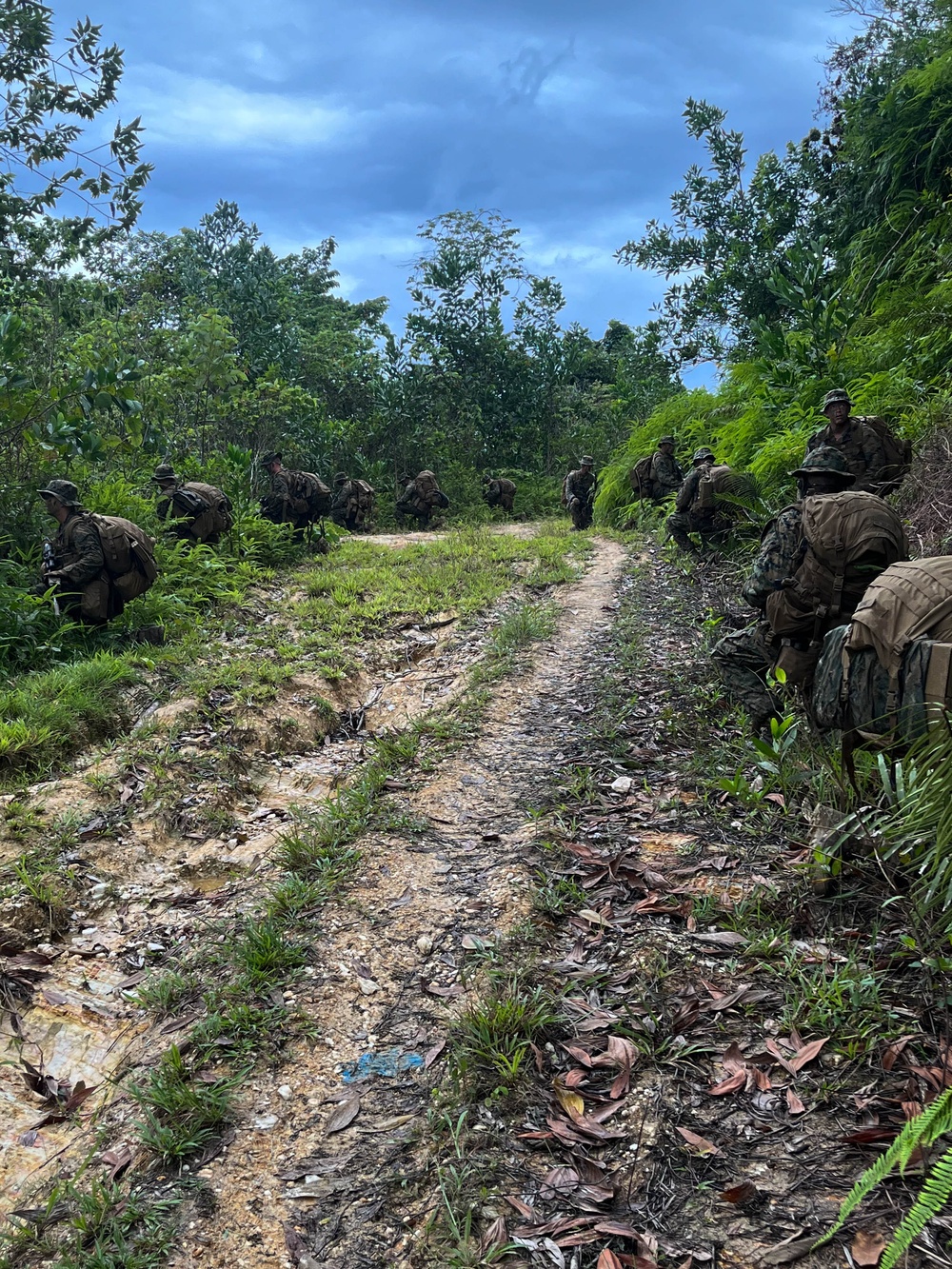 U.S. Marines conduct jungle patrol with Philippine Marines