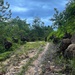 U.S. Marines conduct jungle patrol with Philippine Marines