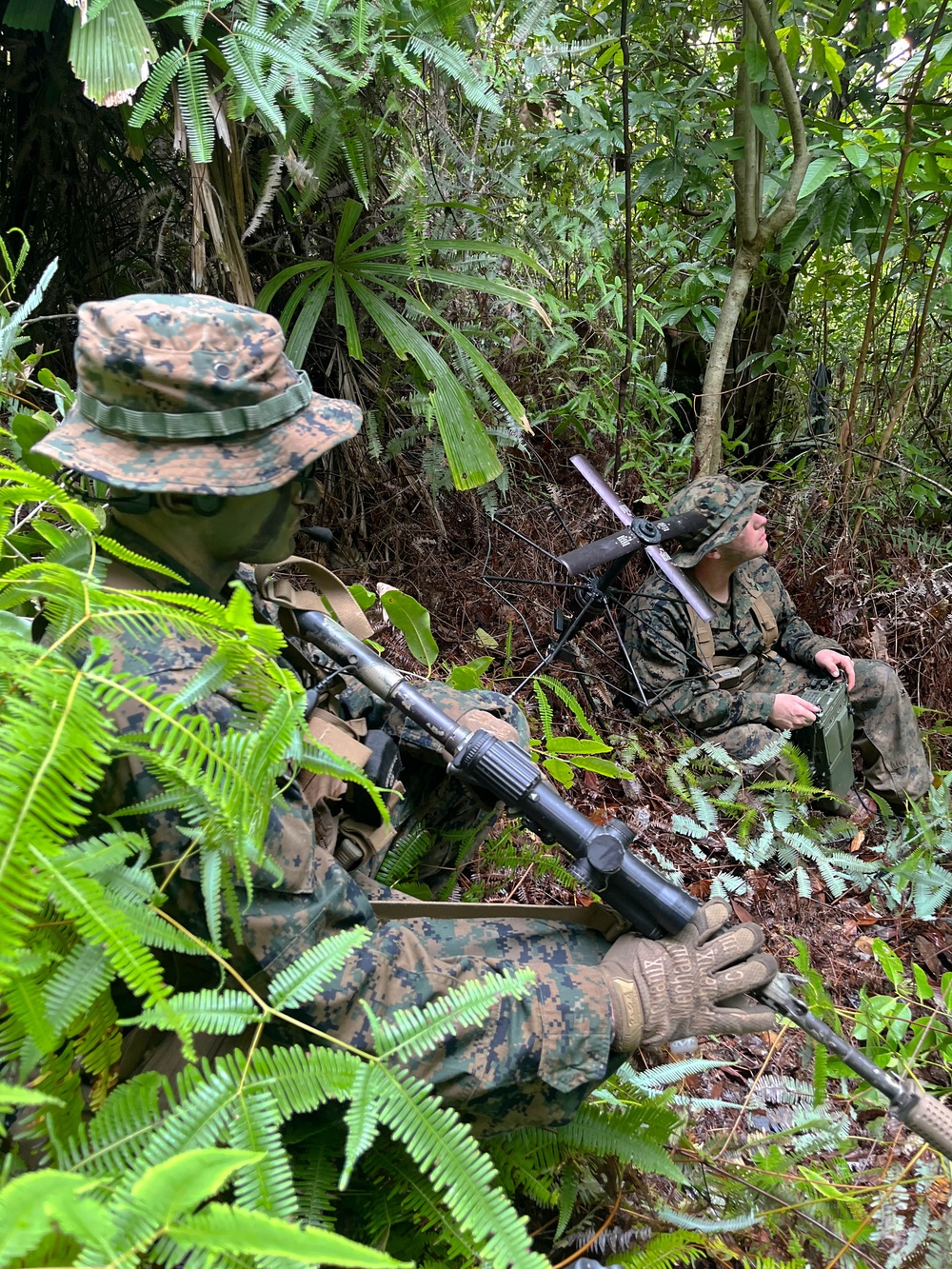 MASA 23: U.S. Marines conduct jungle patrol with Philippine Marines