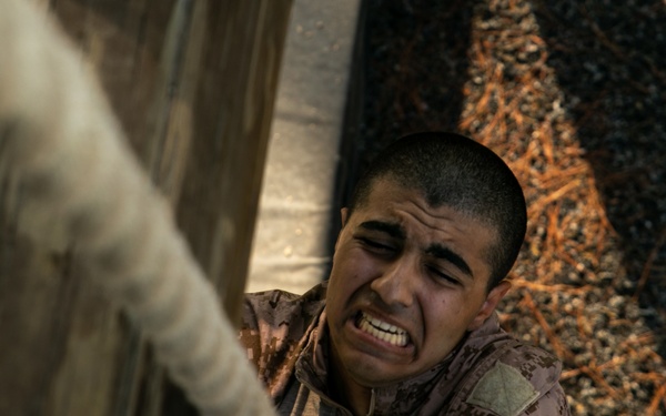 Hope You're Not Afraid of Heights