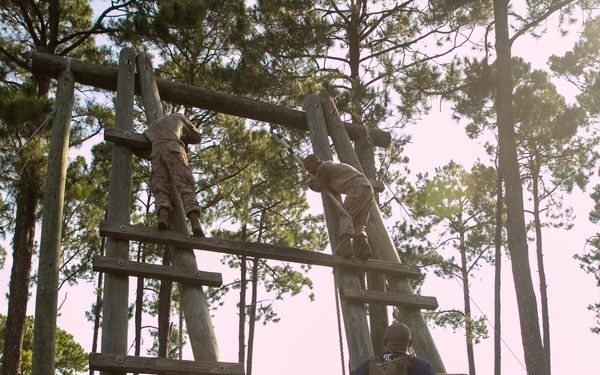 Hope You're Not Afraid of Heights