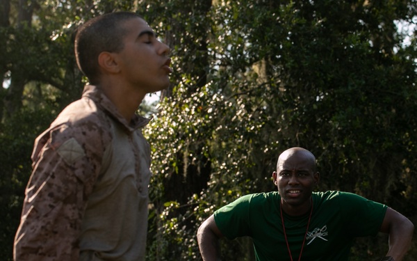 Hope You're Not Afraid of Heights