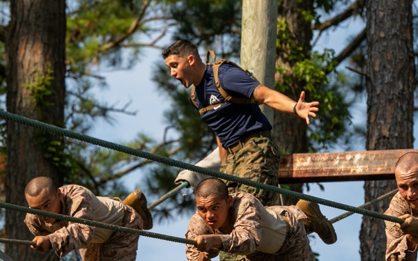 Hope You're Not Afraid of Heights