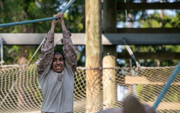 Hope You're Not Afraid of Heights