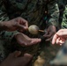 Tradewinds 23 Jungle Amphibious Training School: Special Techniques