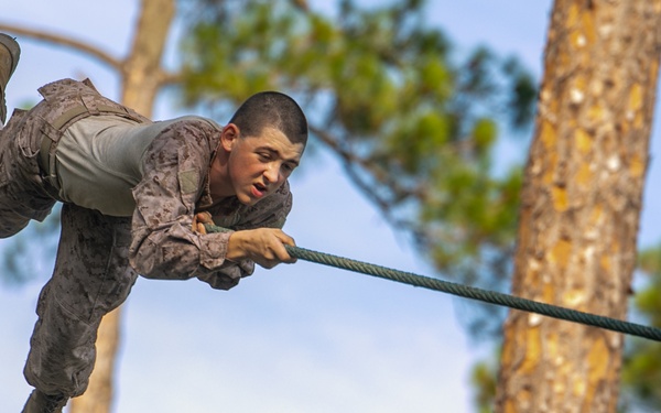 Hope You're Not Afraid of Heights