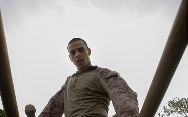 Hope You're Not Afraid of Heights