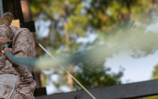 Hope You're Not Afraid of Heights