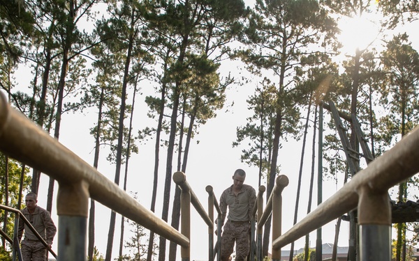 Hope You're Not Afraid of Heights