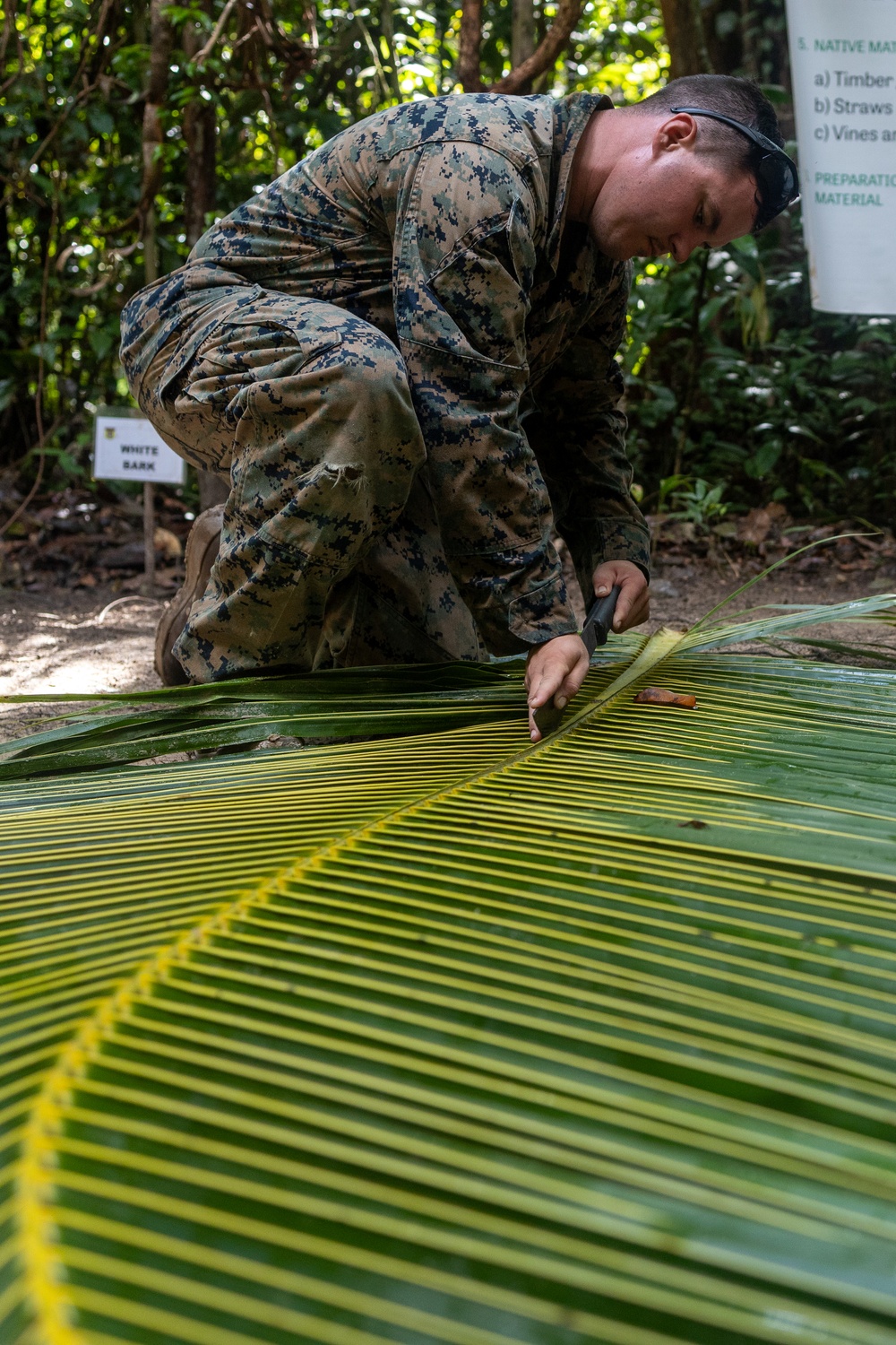 Tradewinds 23 Jungle Amphibious Training School: Survival