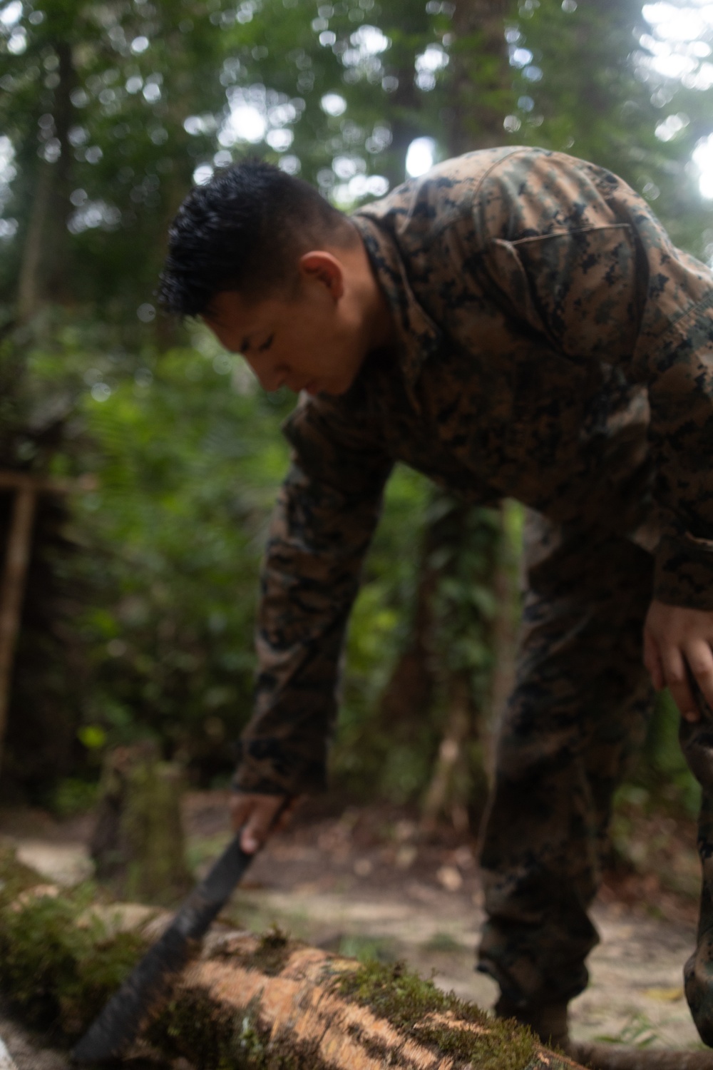 Tradewinds 23 Jungle Amphibious Training School: Survival