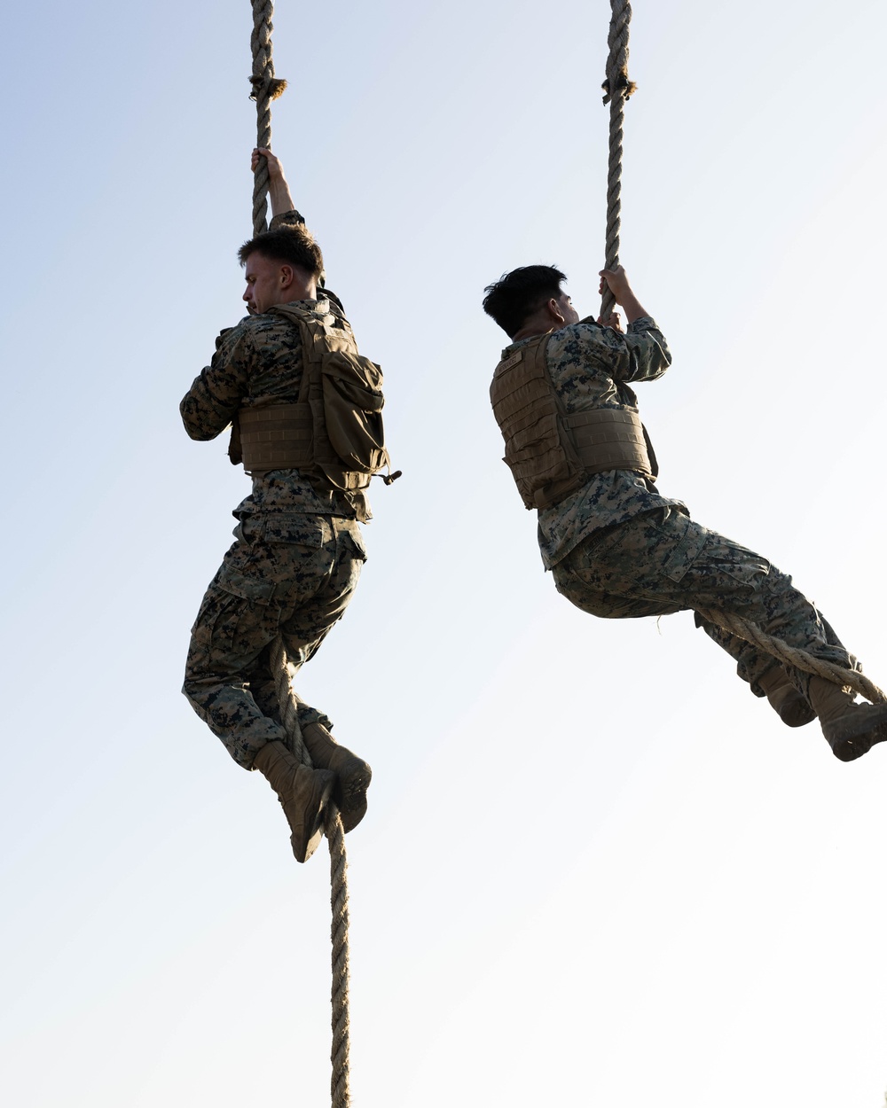 1st MARDIV Marines earn their MCMAP stripes