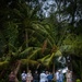Around the World: Island Tours with MCED-Palau 23.2