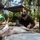 Tradewinds 23 Jungle Amphibious Training School: Jungle Food Tradewinds 23 Jungle Amphibious Training School: Jungle Food