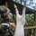 Tradewinds 23 Jungle Amphibious Training School: Jungle Food Tradewinds 23 Jungle Amphibious Training School: Jungle Food