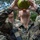 Tradewinds 23 Jungle Amphibious Training School: Jungle Food Tradewinds 23 Jungle Amphibious Training School: Jungle Food
