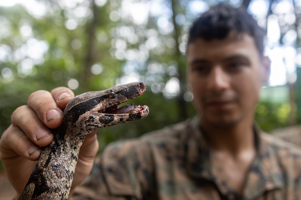Tradewinds 23 Jungle Amphibious Training School: Jungle Food
