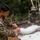 Tradewinds 23 Jungle Amphibious Training School: Jungle Food Tradewinds 23 Jungle Amphibious Training School: Jungle Food